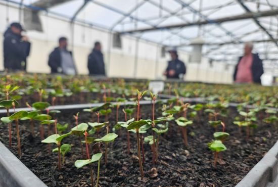 Día de la Tierra: cuando la tecnología decide ponerse del lado del planeta